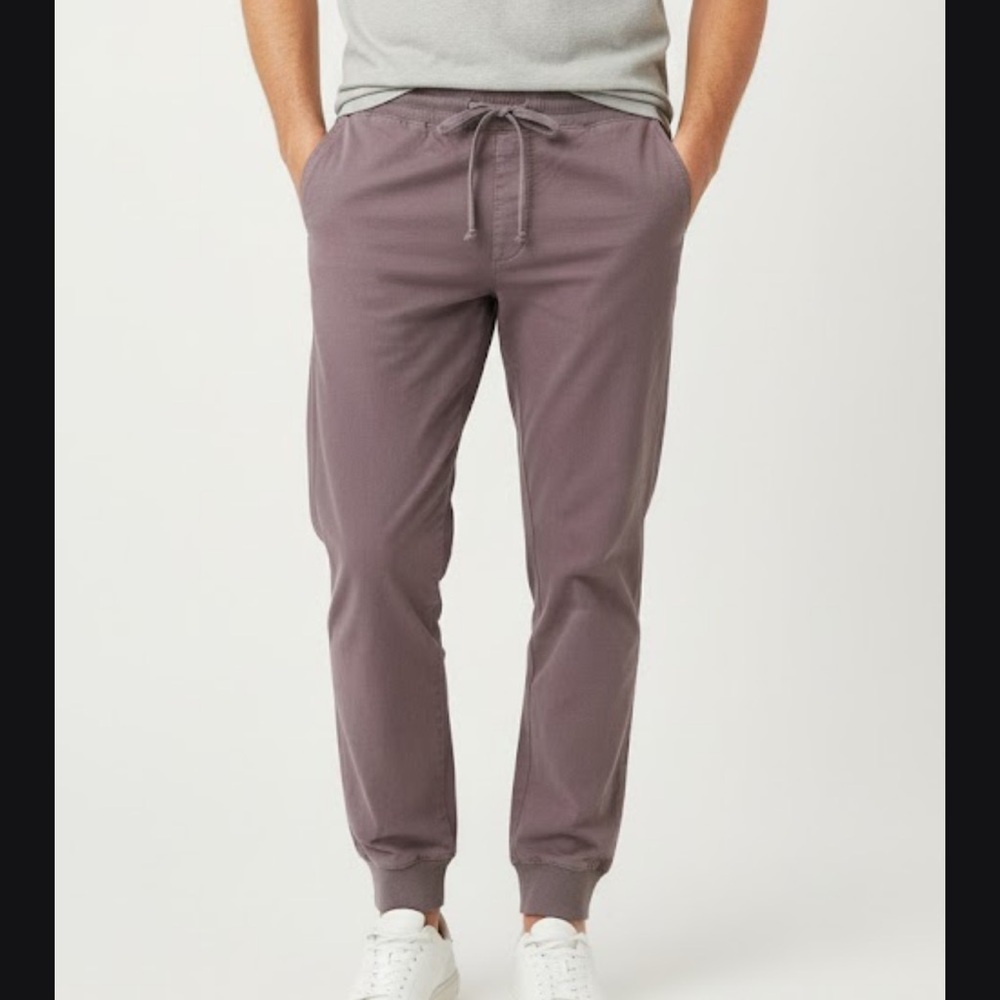 Pistola Men's Joggers - Deep Purple